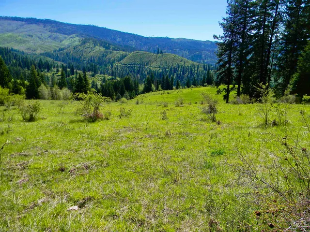 $7,400,000 | 151 Ranta Road, Kooskia, ID 83539