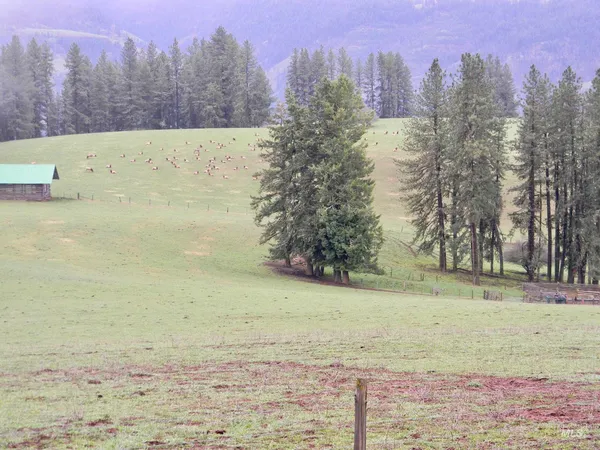 $7,400,000 | 151 Ranta Road, Kooskia, ID 83539