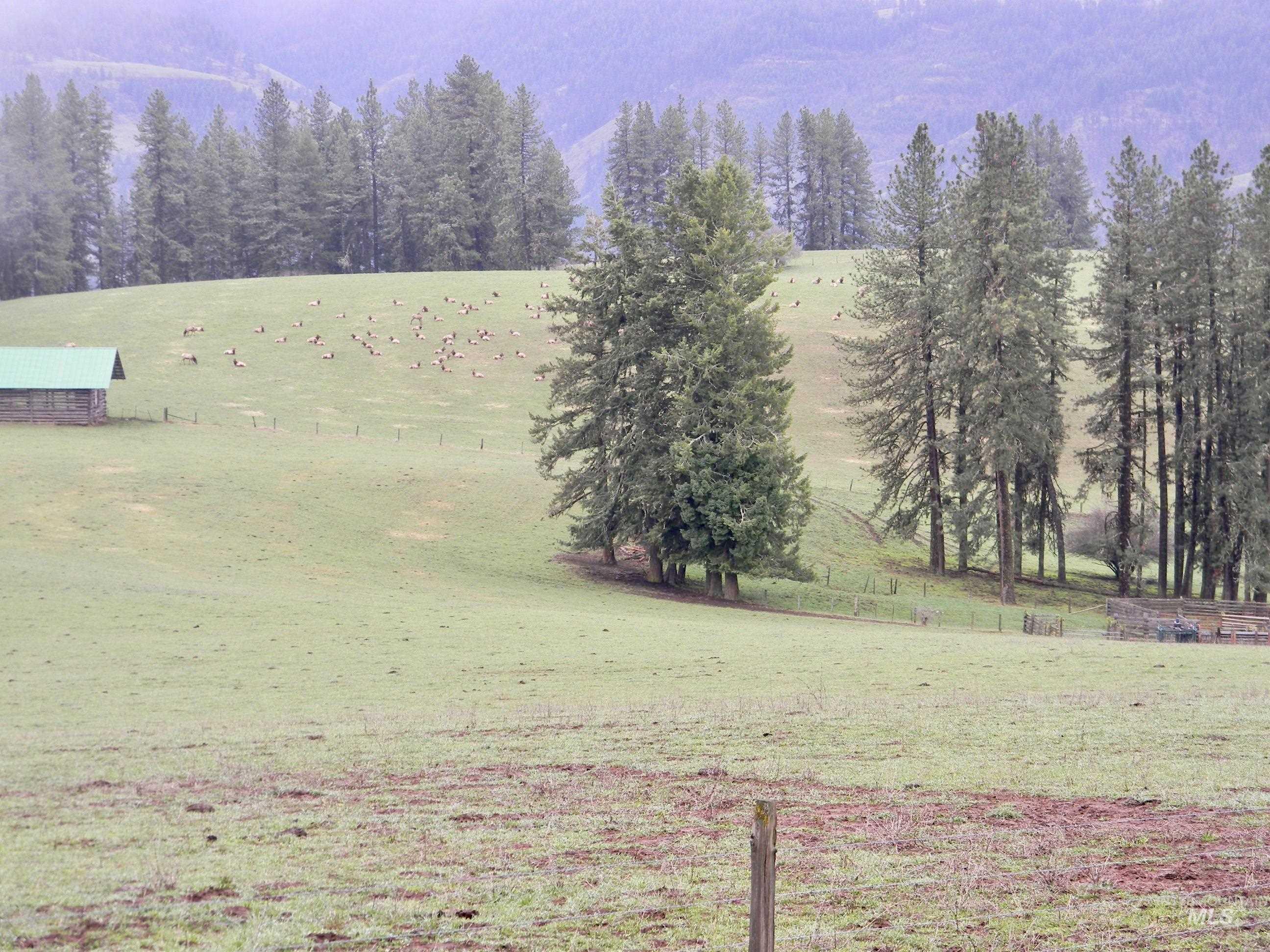 151 Ranta Road Kooskia, ID 83539 - Photo 8 of 33