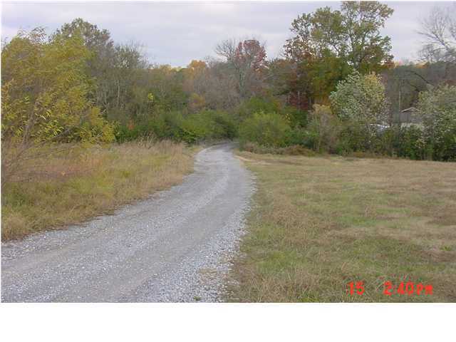 204 Dietz Road Ringgold, GA 30736 - Photo 4 of 5 Additional Photo