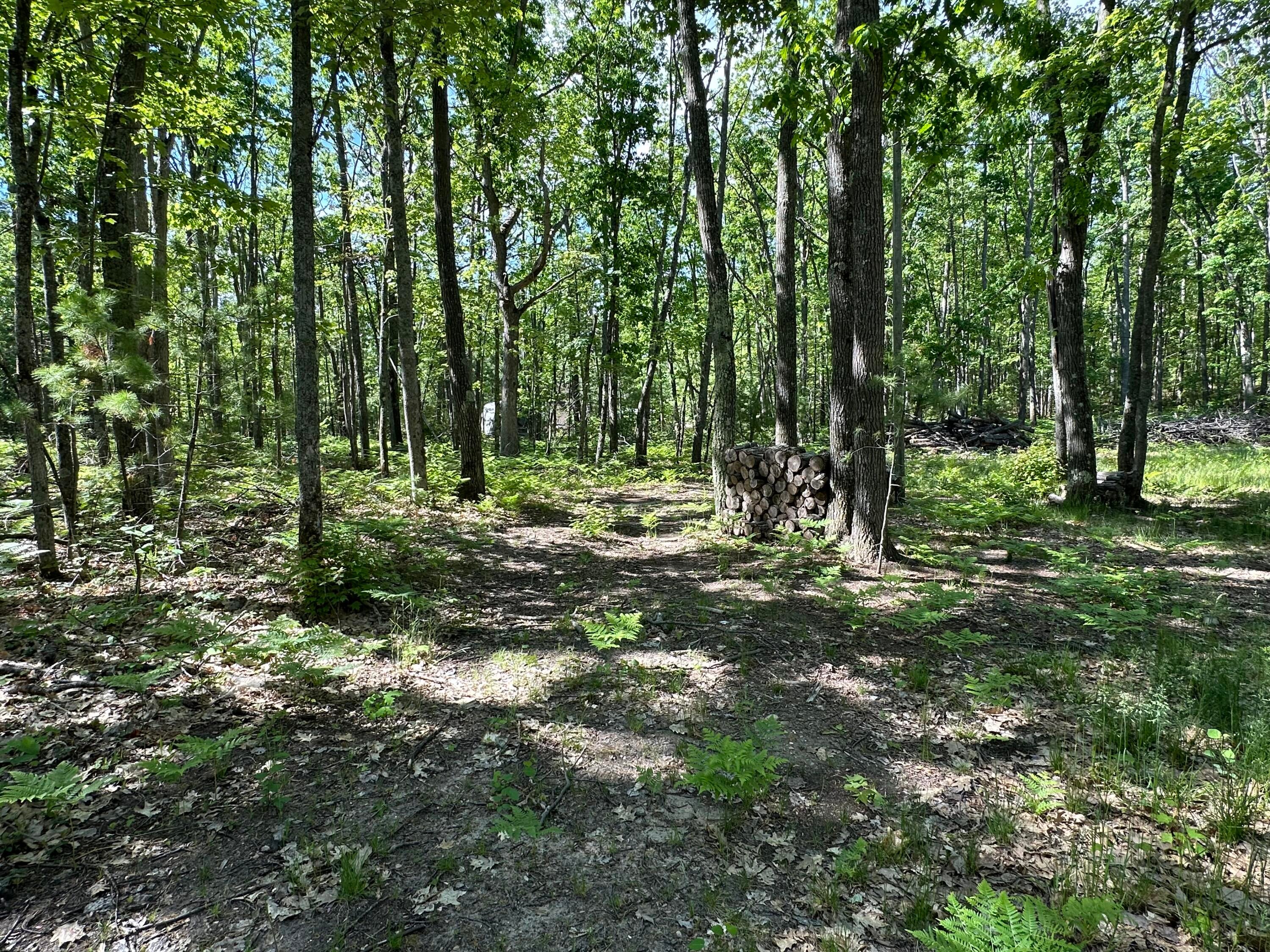 10-ac Neumann Road Lewiston, MI 49756 - Photo 13 of 14 Gallery Image 13