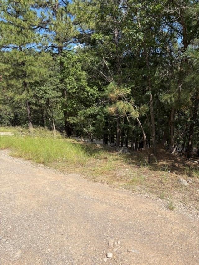 Lariat Road Mayhill, NM 88339 - Photo 3 of 6 Gallery Image 3