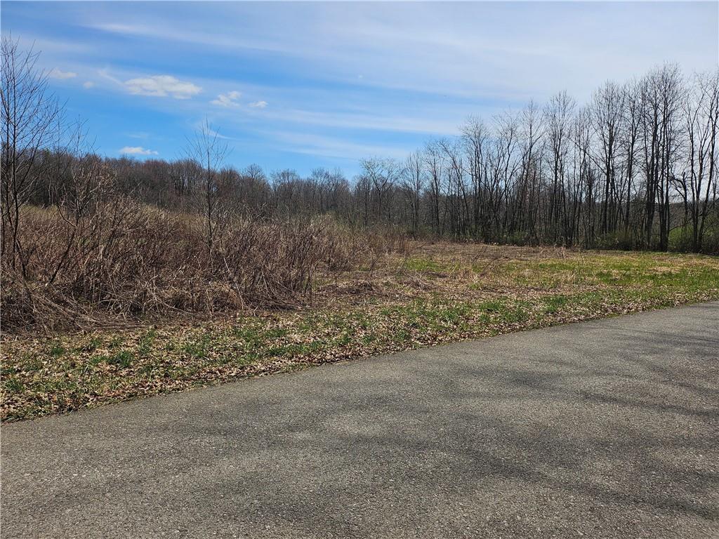 Lot 3 Book Road Volant, PA 16156 - Photo 1 of 7