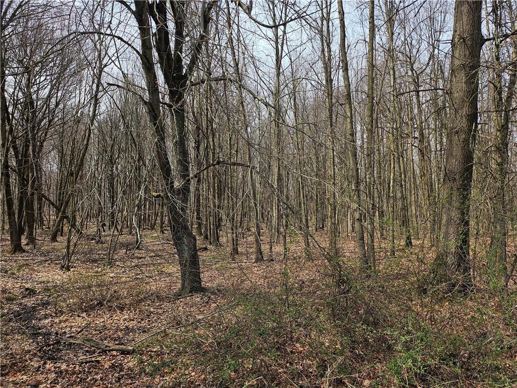 Lot 3 Book Road Volant, PA 16156 - Photo 3 of 7