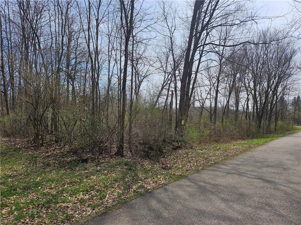 Lot 3 Book Road Volant, PA 16156 - Photo 6 of 7
