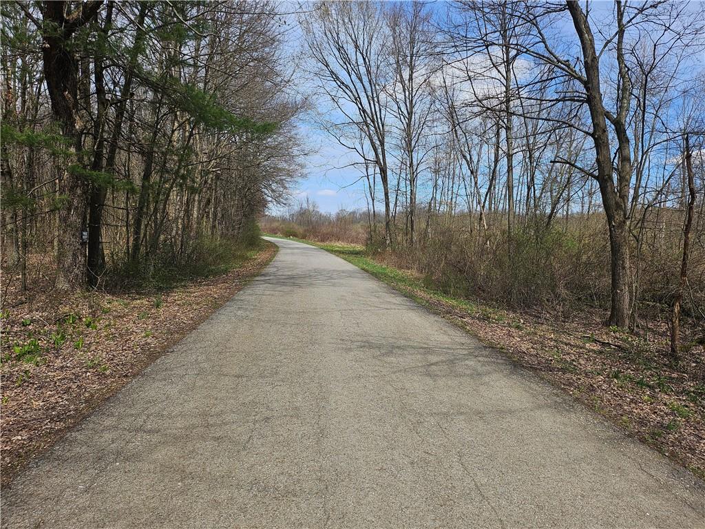 Lot 3 Book Road Volant, PA 16156 - Photo 7 of 7