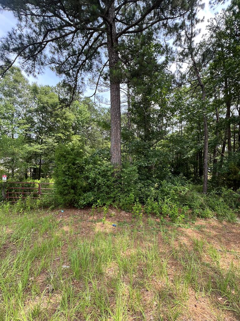 7950 Cooper Creek Road Columbus, GA 31909 - Photo 1 of 1 a view of backyard with green space