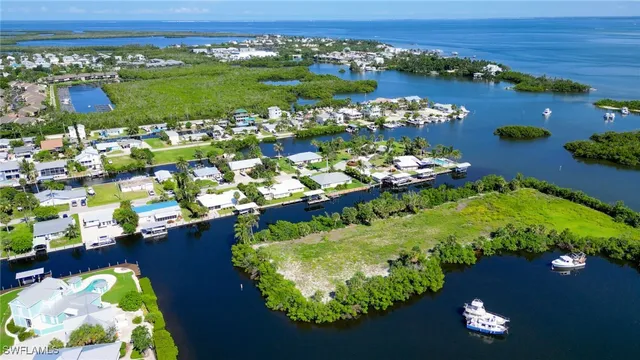 a view of a lake with a lot of flowers in it