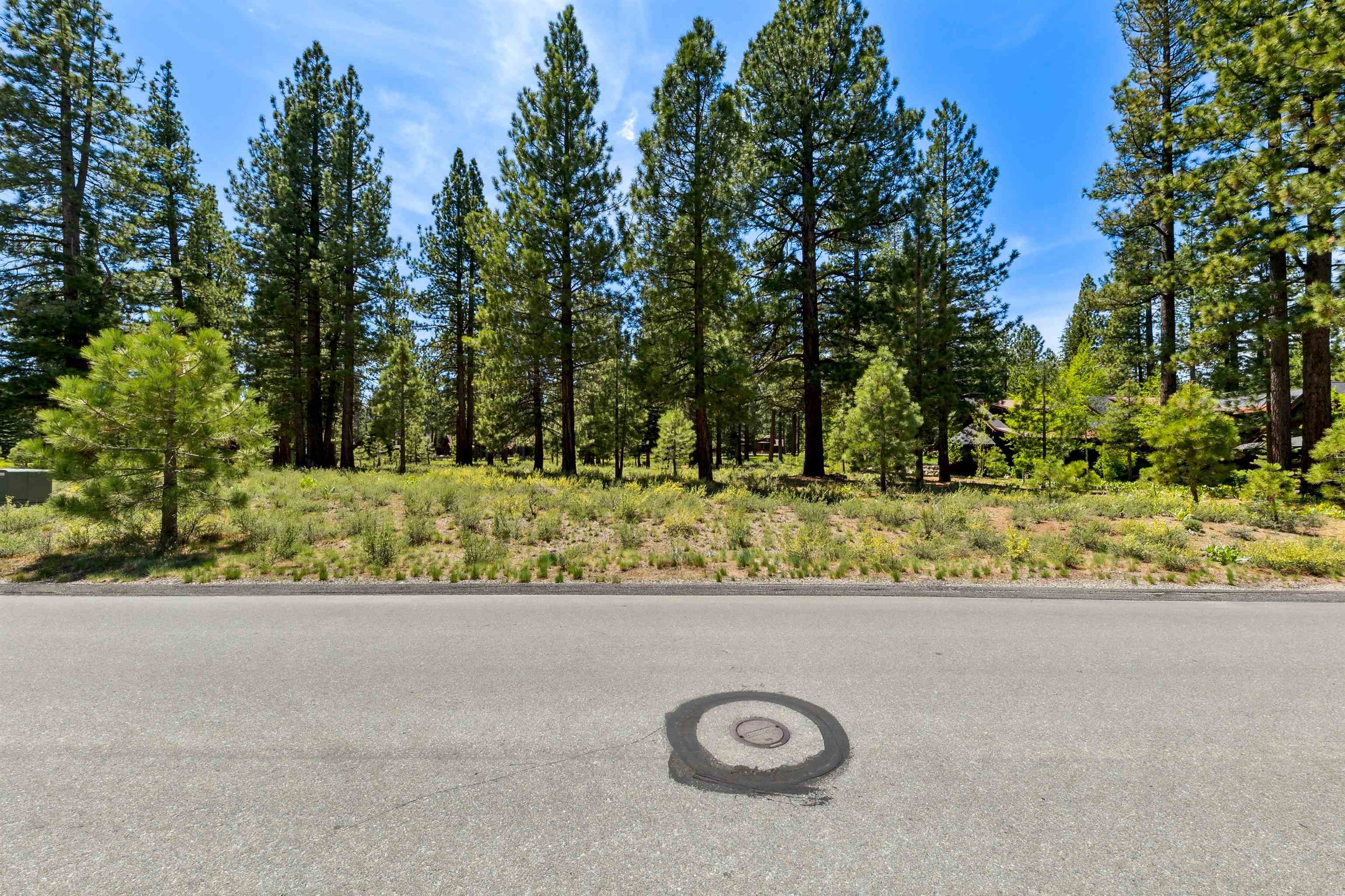 8201 Lahontan Drive Truckee, CA 96161 - Photo 14 of 28 a view of a bird park