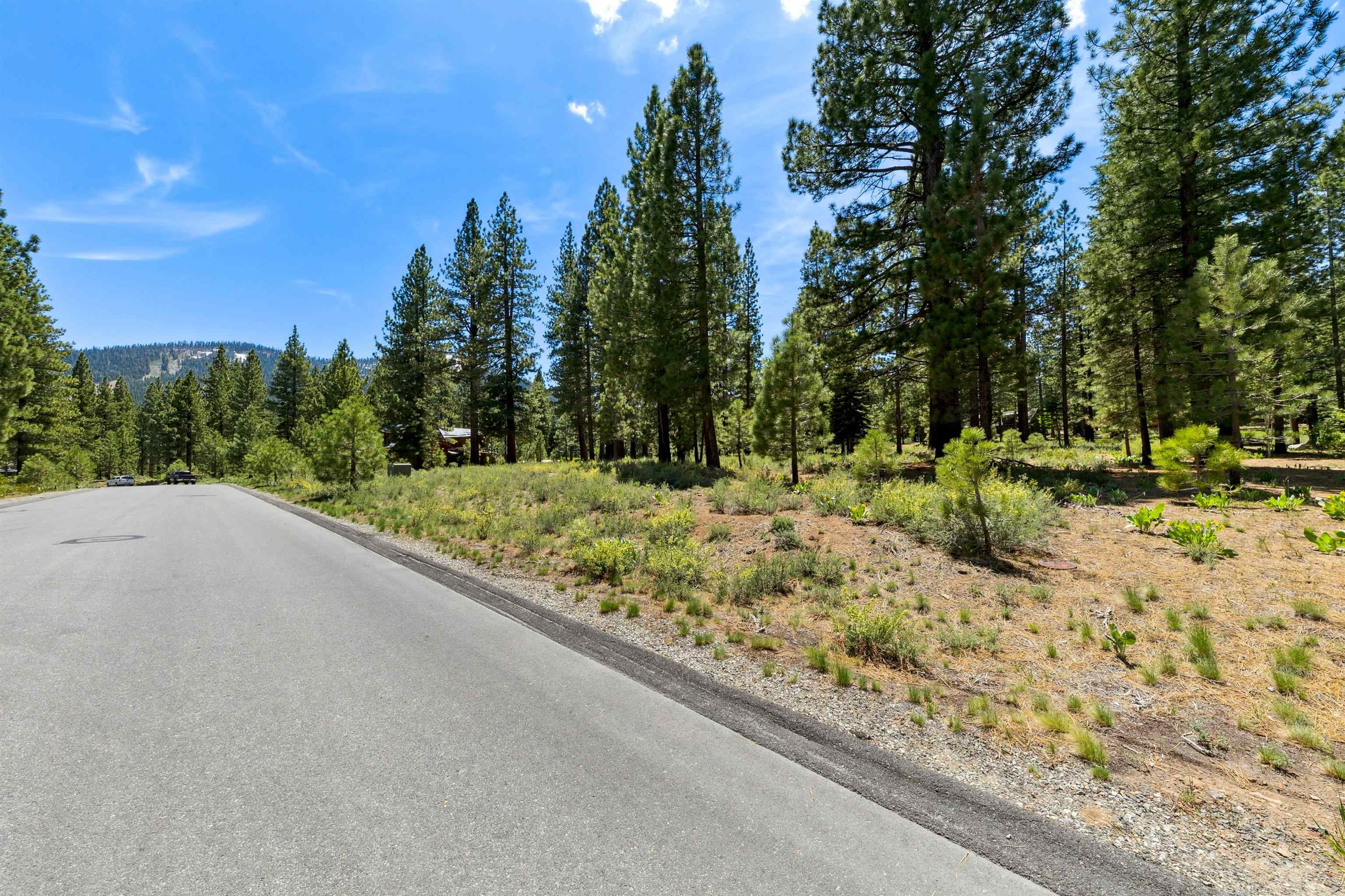 8201 Lahontan Drive Truckee, CA 96161 - Photo 15 of 28 a view of a road with a yard
