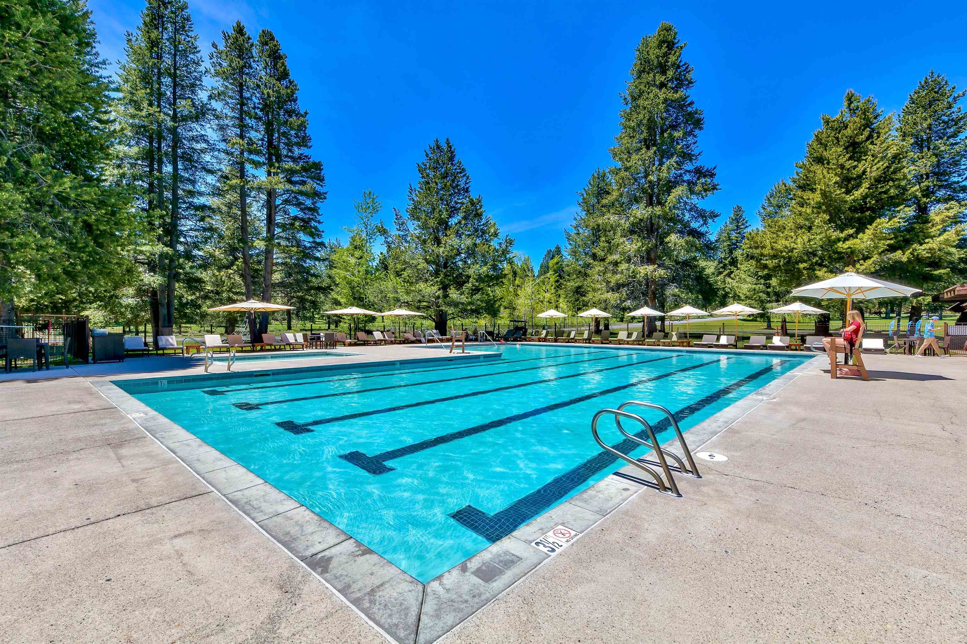 8201 Lahontan Drive Truckee, CA 96161 - Photo 19 of 28 a view of a park with large trees