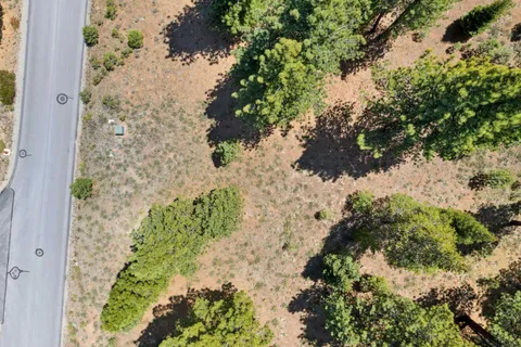 a view of a garden with plants