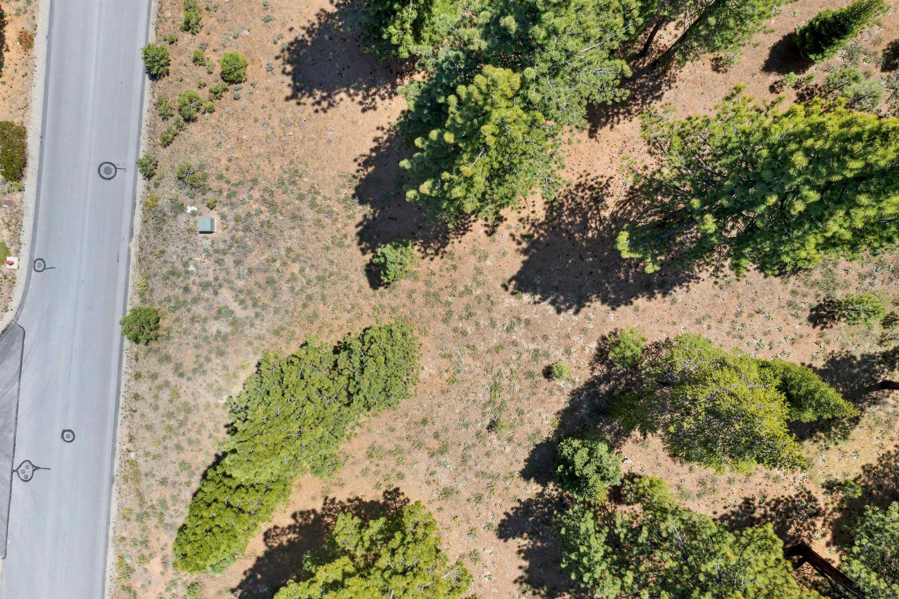 8201 Lahontan Drive Truckee, CA 96161 - Photo 4 of 28 a view of a garden with plants