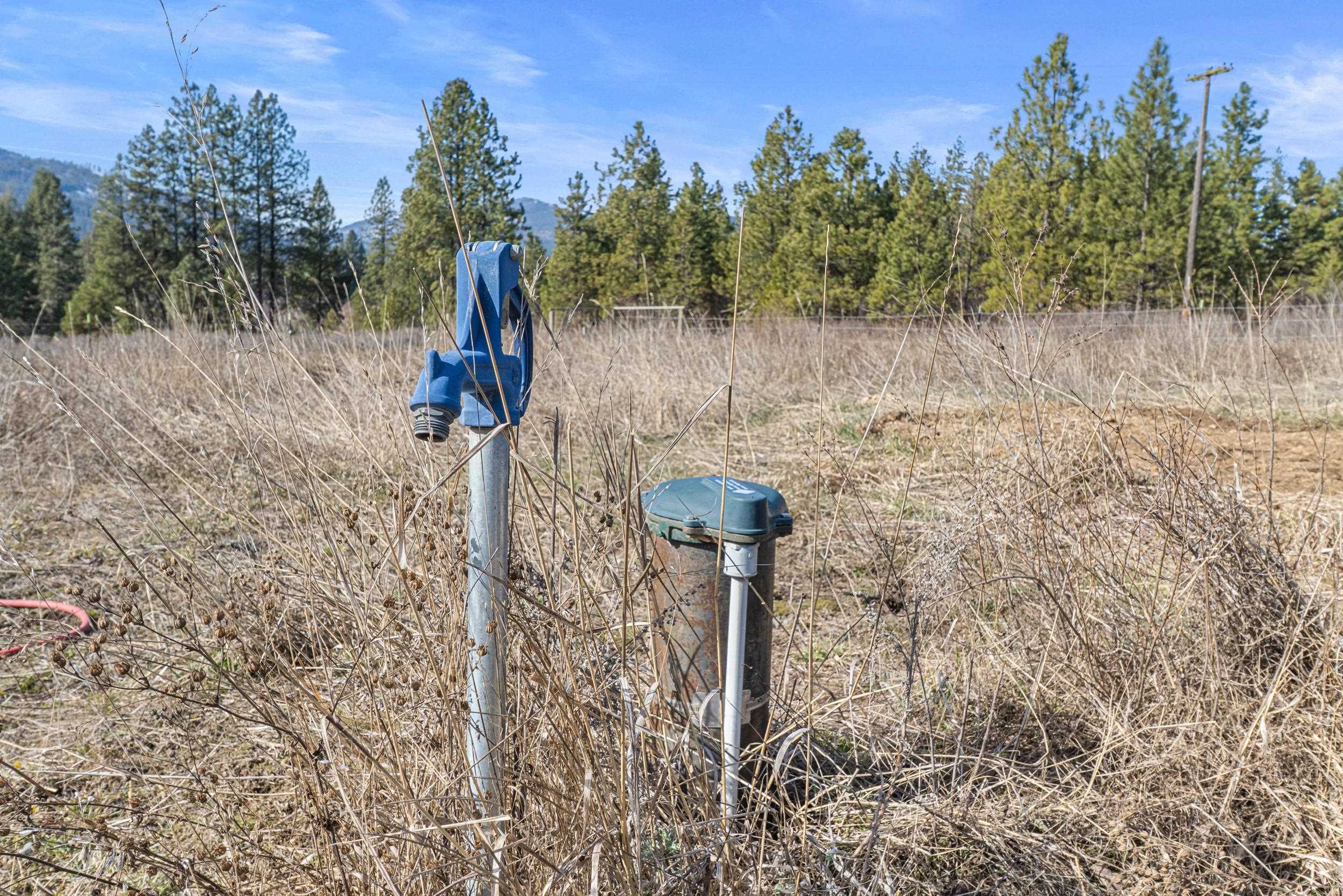 3006 Hall Creek Road Inchelium, WA 99138 - Photo 11 of 12