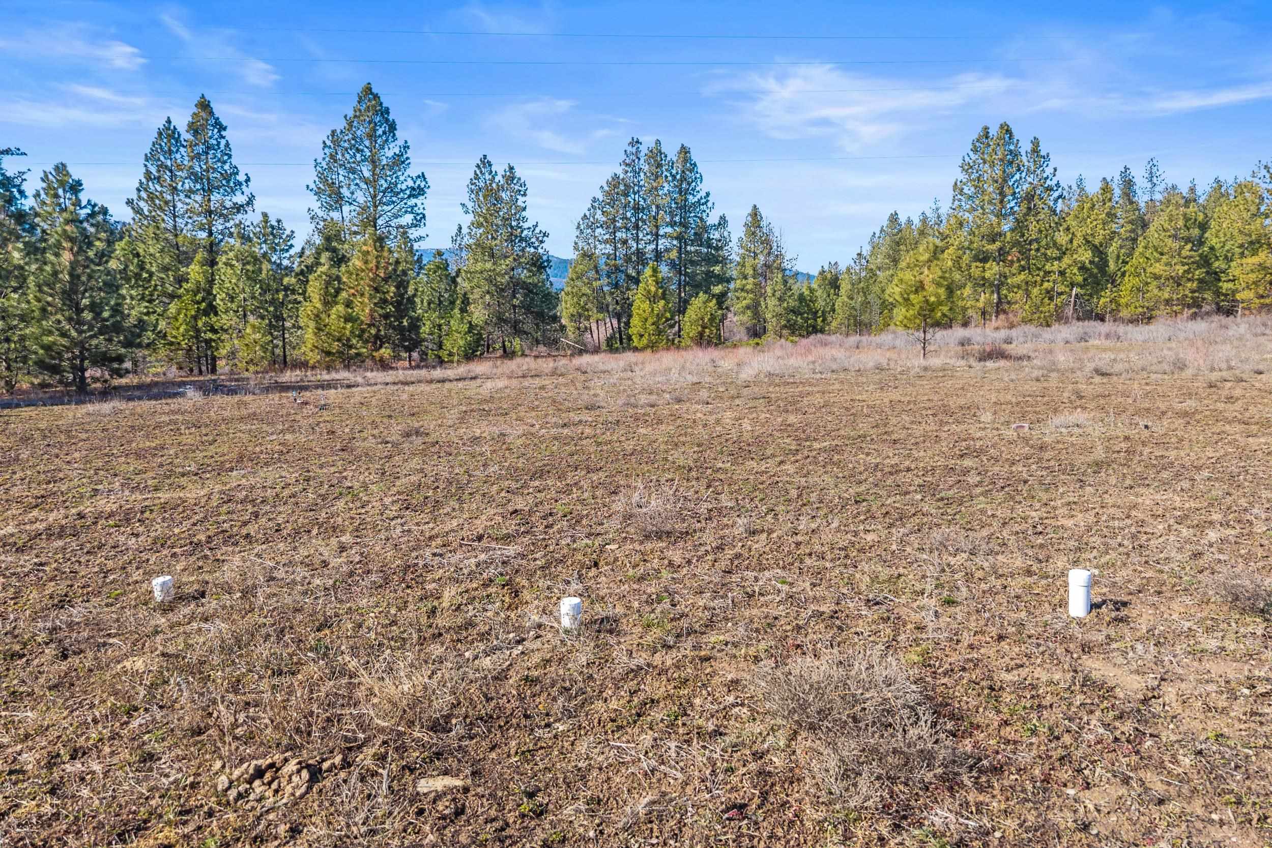 3006 Hall Creek Road Inchelium, WA 99138 - Photo 4 of 12