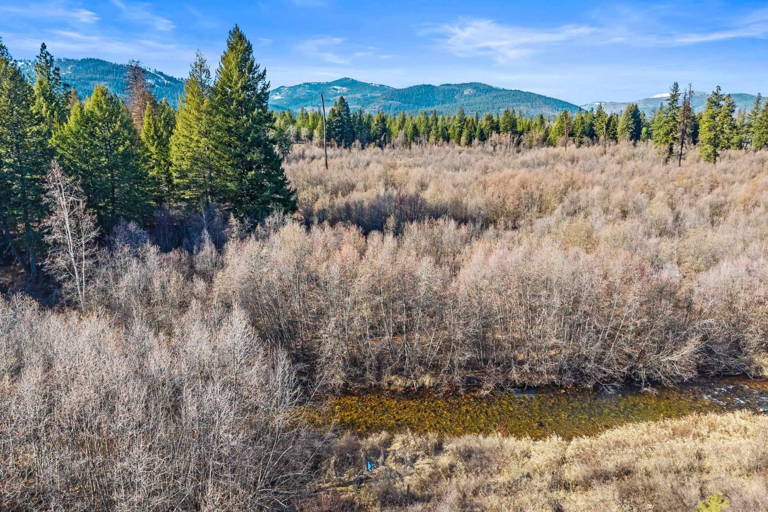 3006 Hall Creek Road Inchelium, WA 99138 - Photo 5 of 12