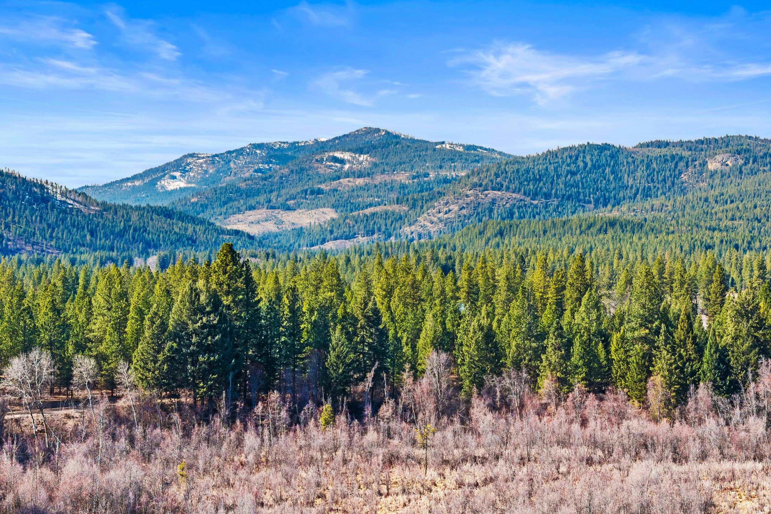 3006 Hall Creek Road Inchelium, WA 99138 - Photo 6 of 12