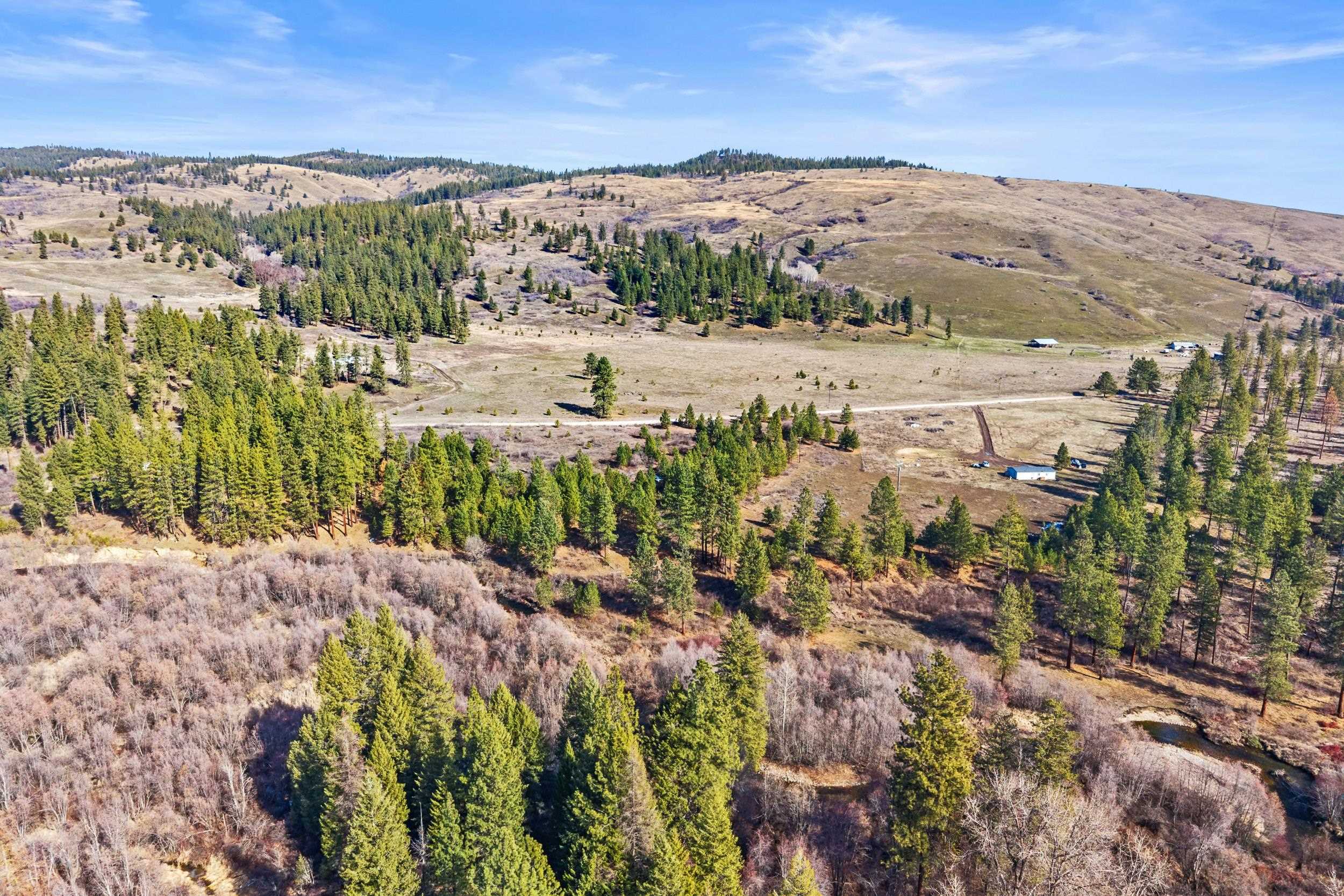 3006 Hall Creek Road Inchelium, WA 99138 - Photo 7 of 12