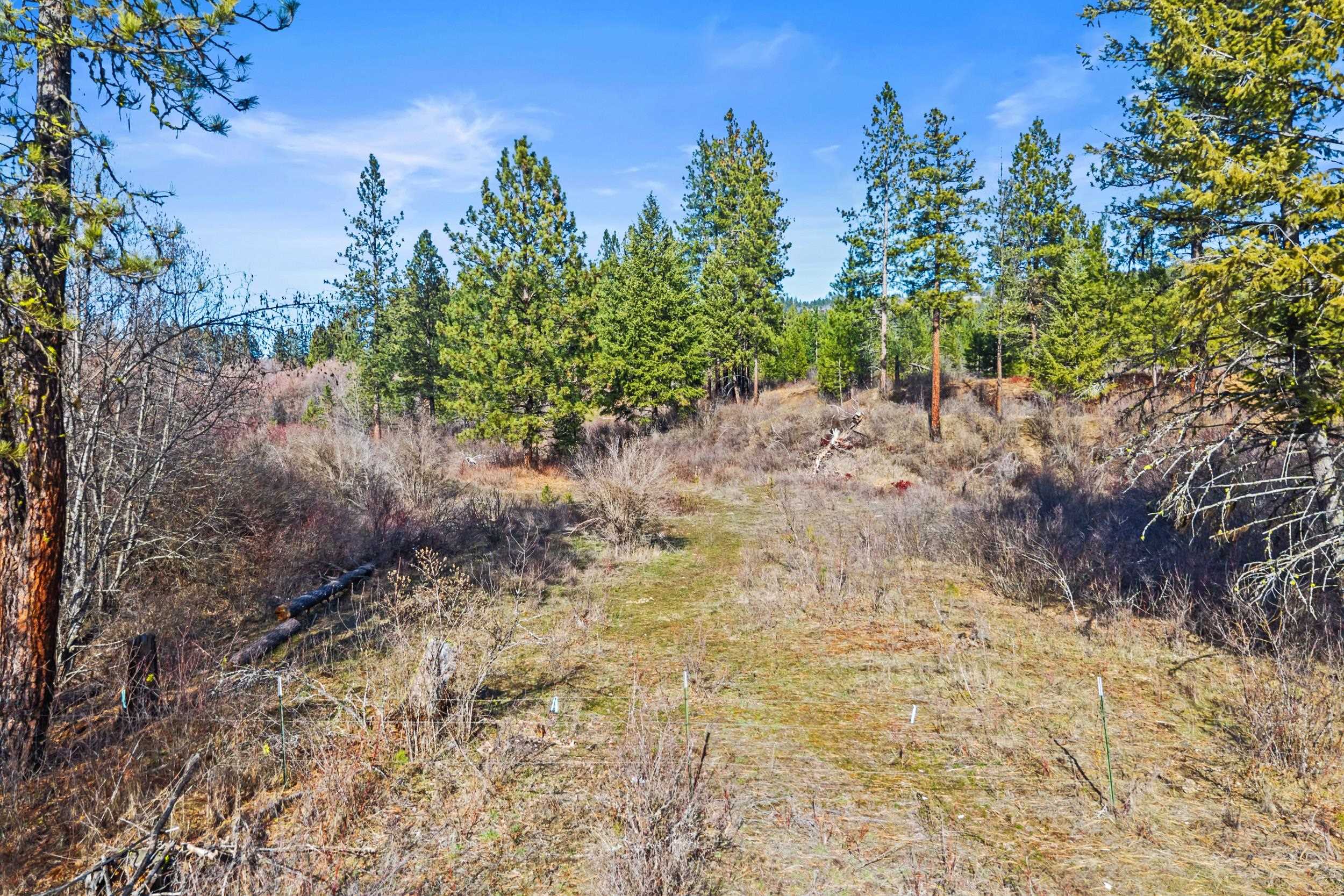 3006 Hall Creek Road Inchelium, WA 99138 - Photo 8 of 12