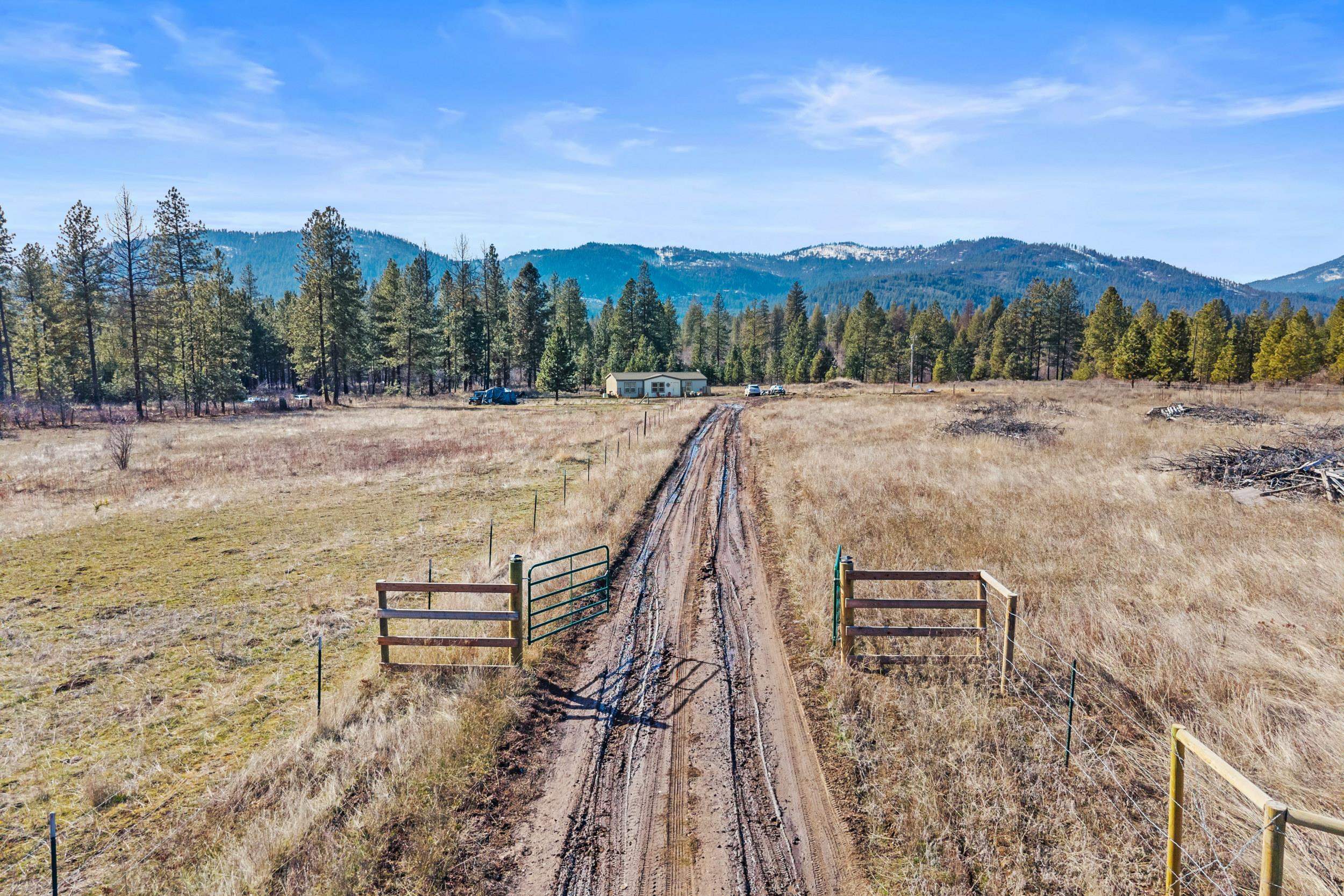 3006 Hall Creek Road Inchelium, WA 99138 - Photo 9 of 12