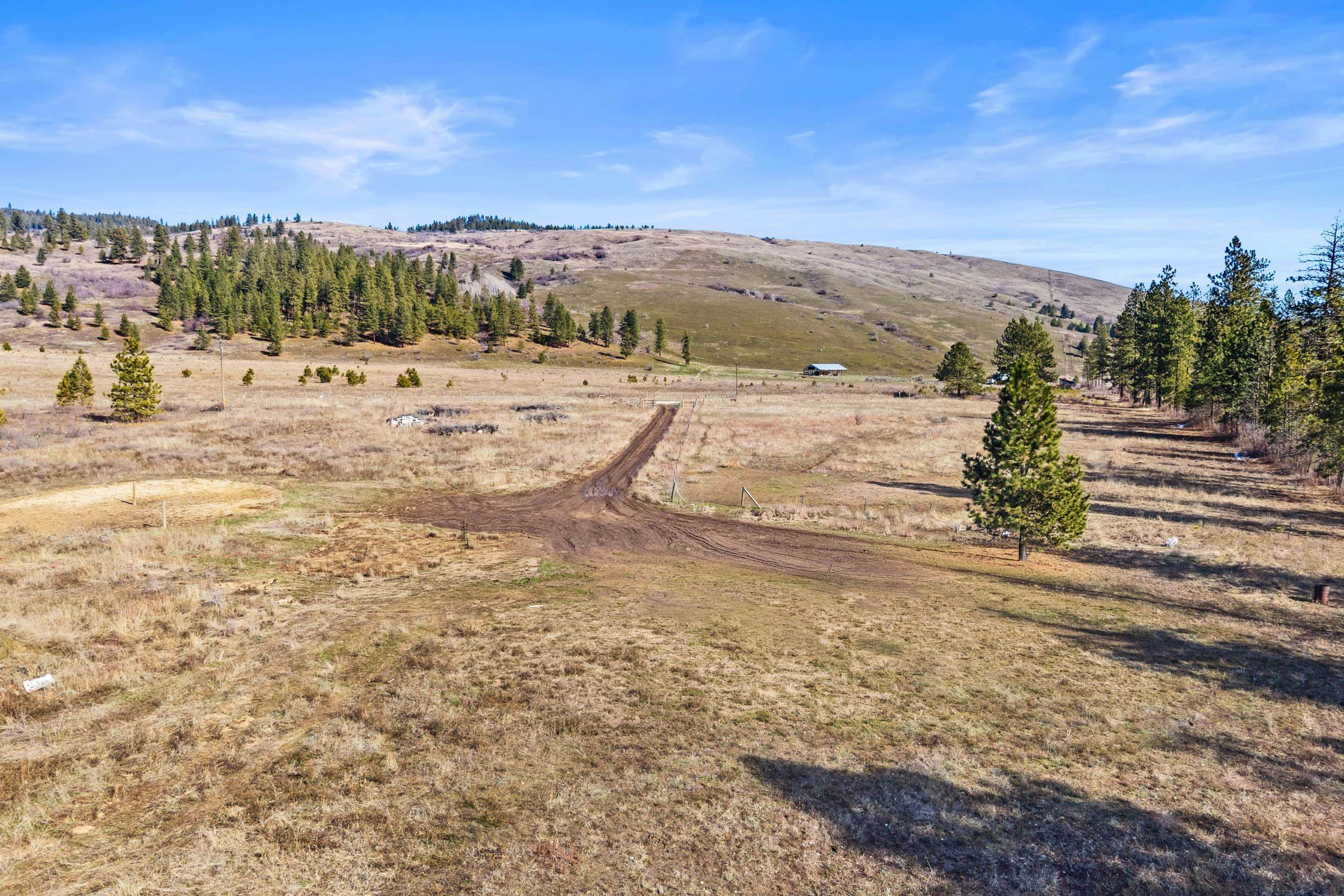 3006 Hall Creek Road Inchelium, WA 99138 - Photo 10 of 12