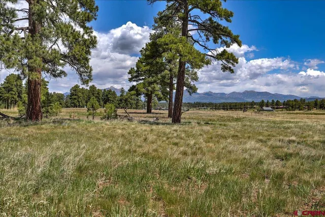 a view of an outdoor space and a yard