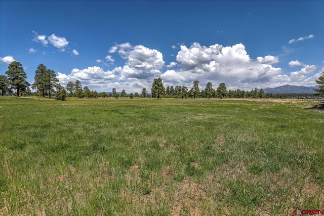 a view of a big yard of a house with a big yard