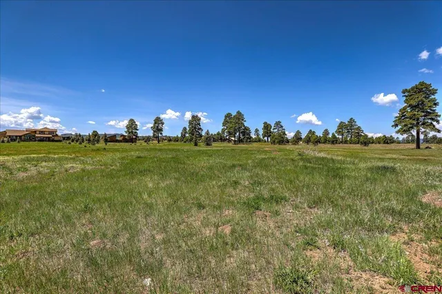 a view of a grassy field with trees