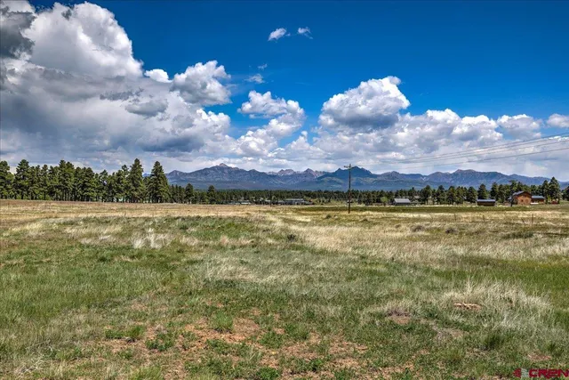 a view of a lake with houses in the background