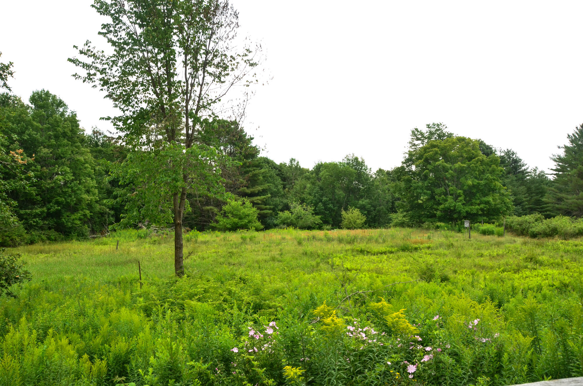 1263 River Road Bowdoinham, ME 04008 - Photo 74 of 97 0076-2024 KarenRamsayPhoto-DSC_0039