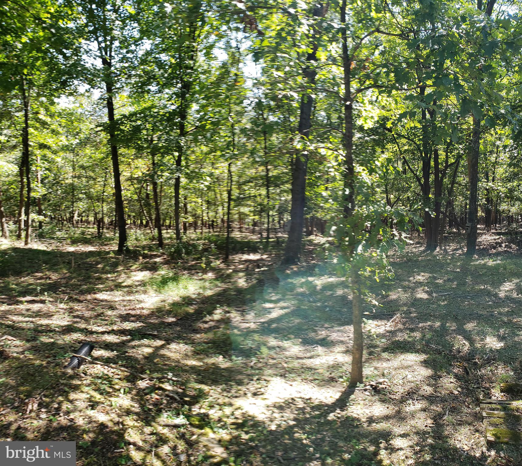 14506 Viewcrest Road Southwest Cumberland, MD 21502 - Photo 22 of 29
