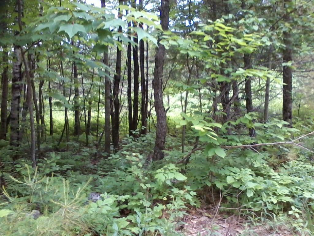 0 Northwest Round-The-Pond Road Norway, ME 04268 - Photo 20 of 25 Photo
