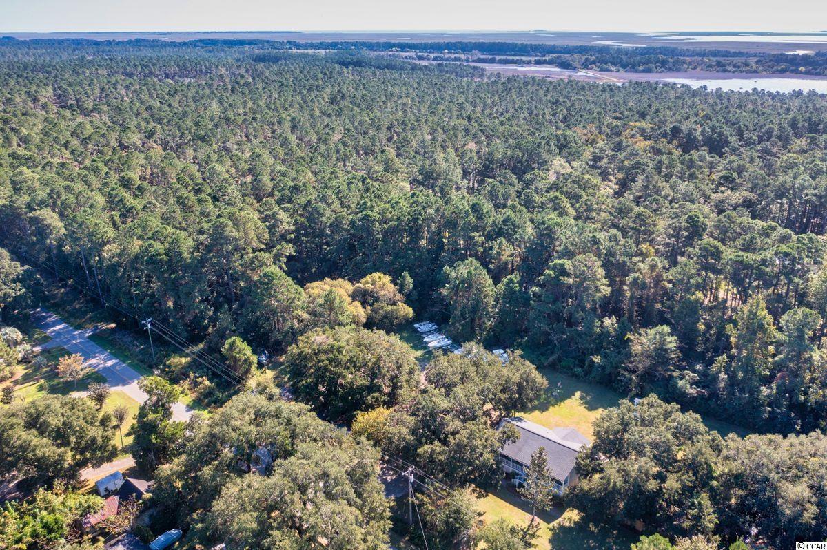 459 Dupre Road McClellanville, SC 29458 - Photo 3 of 11