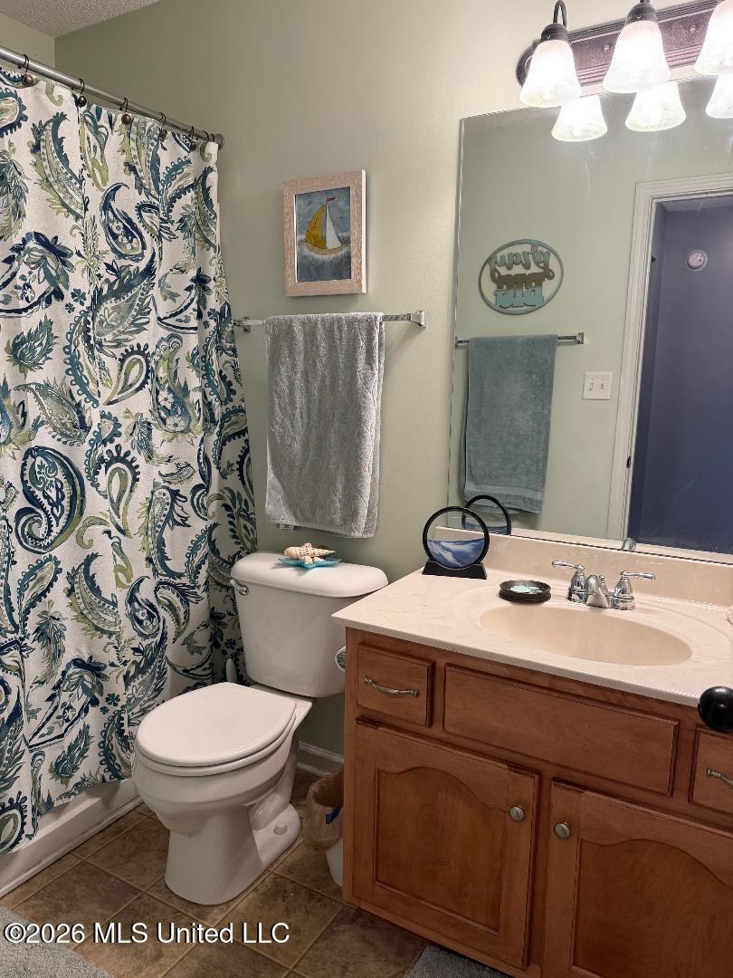 328 Vaiden Ridge Drive North Hernando, MS 38632 - Photo 13 of 16 Guest Bathroom