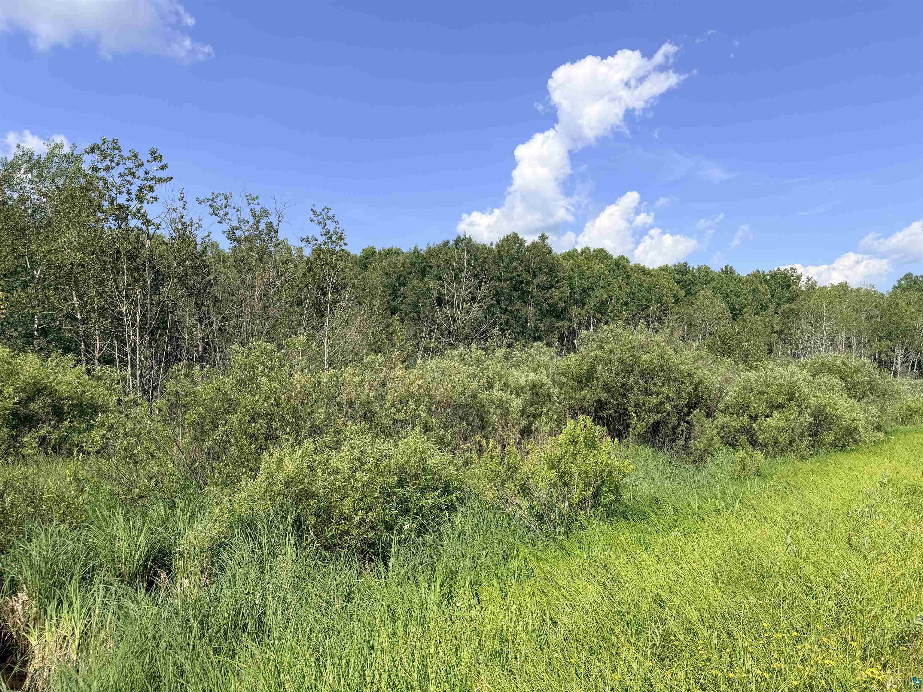 Tbd Butterfield Road Hibbing, MN 55746 - Photo 9 of 12