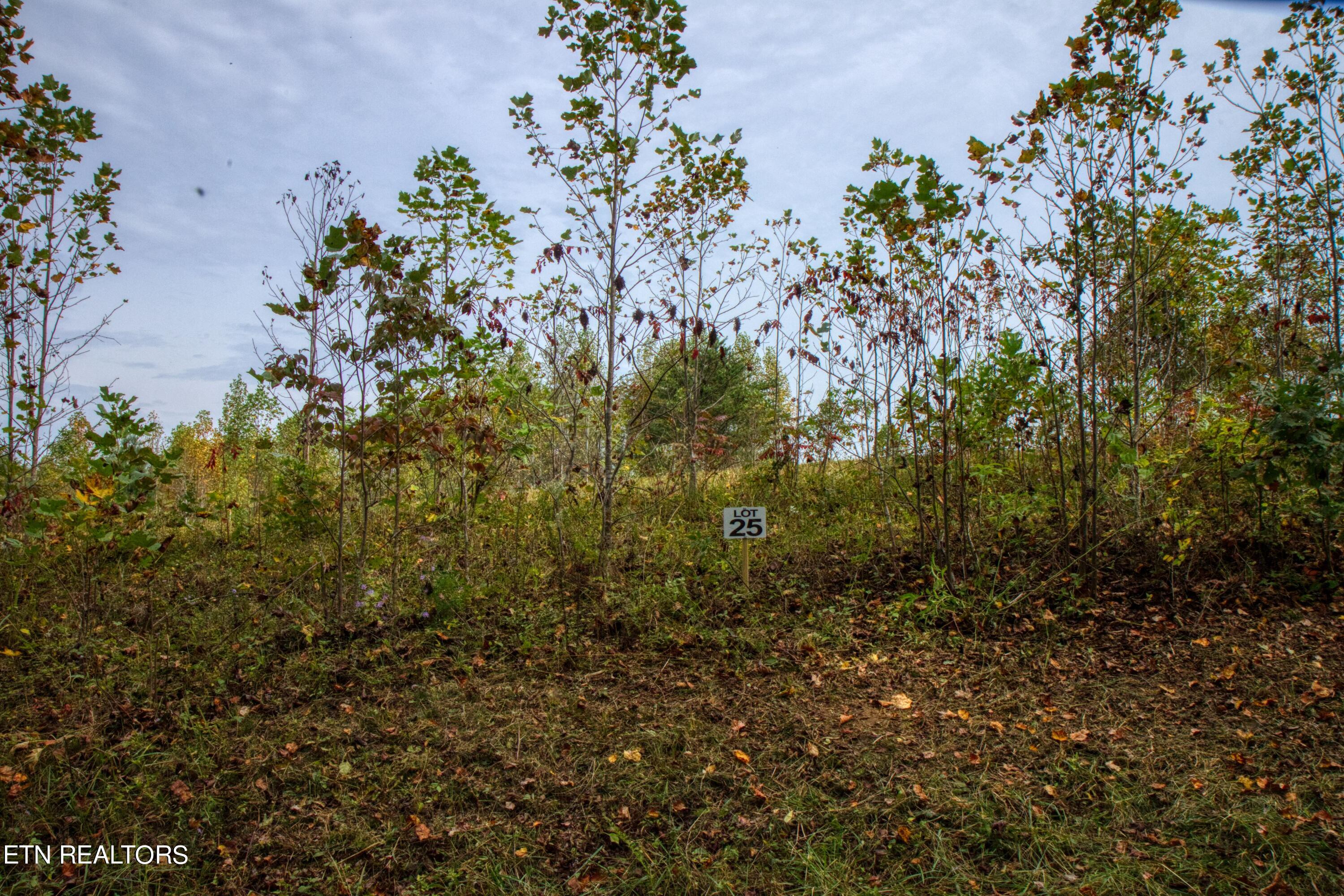Lot 25 Zenith Road Allardt, TN 38504 - Photo 1 of 3 1