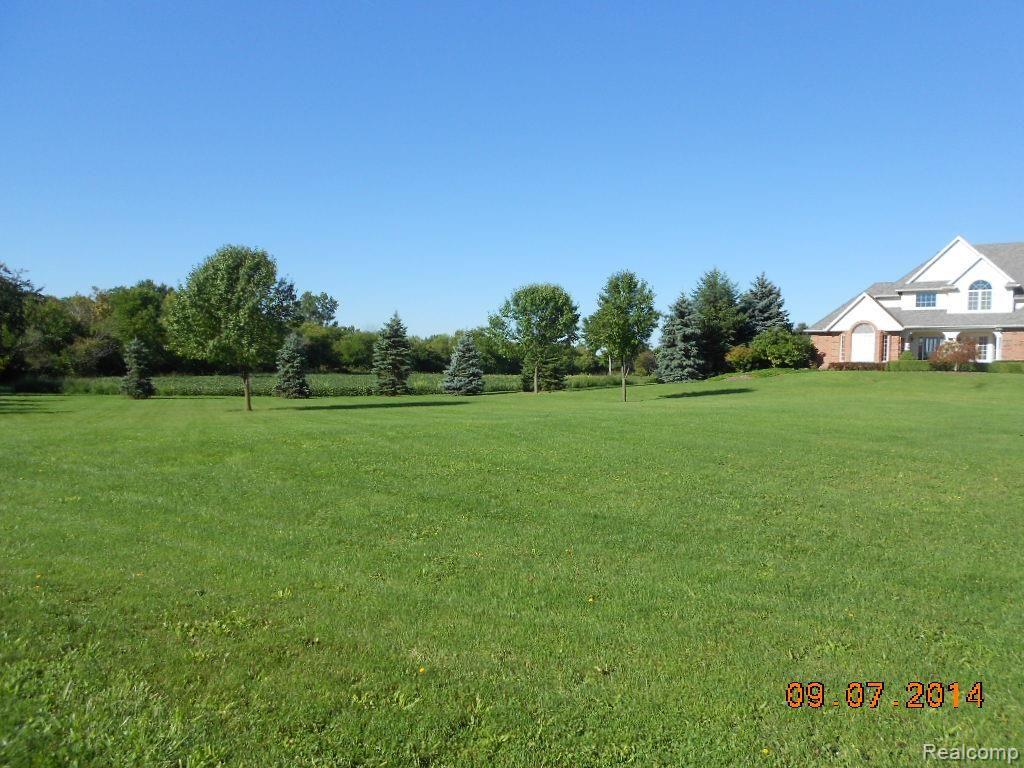 11453 Sweitzer Road Carleton, MI 48117 - Photo 2 of 43 DSCN3486.jpg