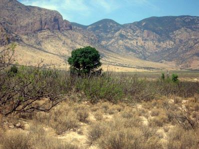 0 East Sulphur Canyon Road San Simon, AZ 85632 - Photo 8 of 8