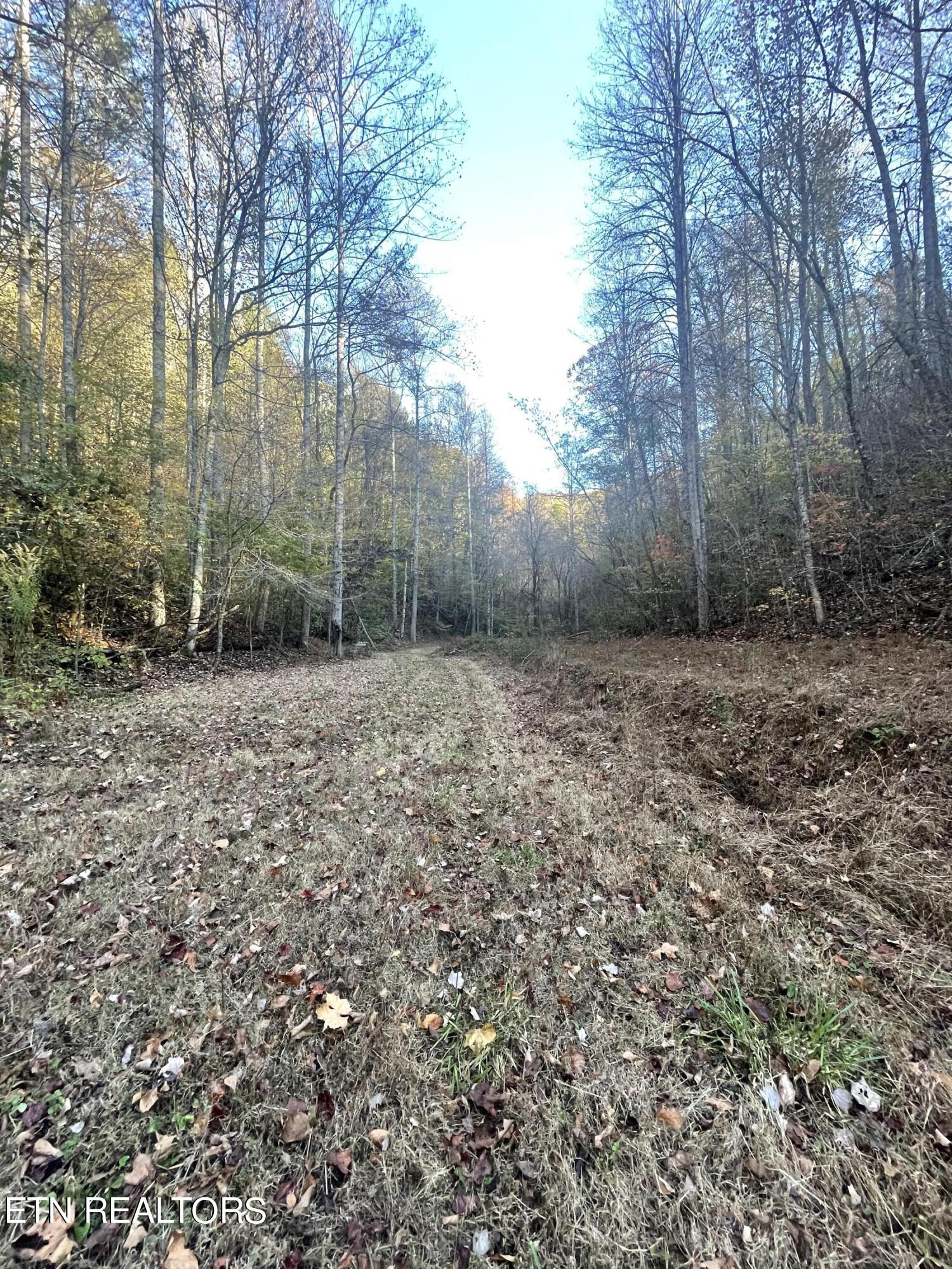 2327 Dripping Springs Road Seymour, TN 37865 - Photo 15 of 19 IMG_8647