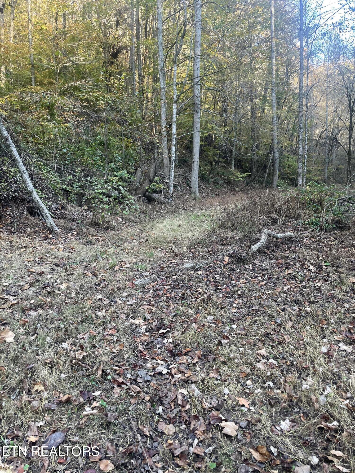2327 Dripping Springs Road Seymour, TN 37865 - Photo 16 of 19 IMG_8646