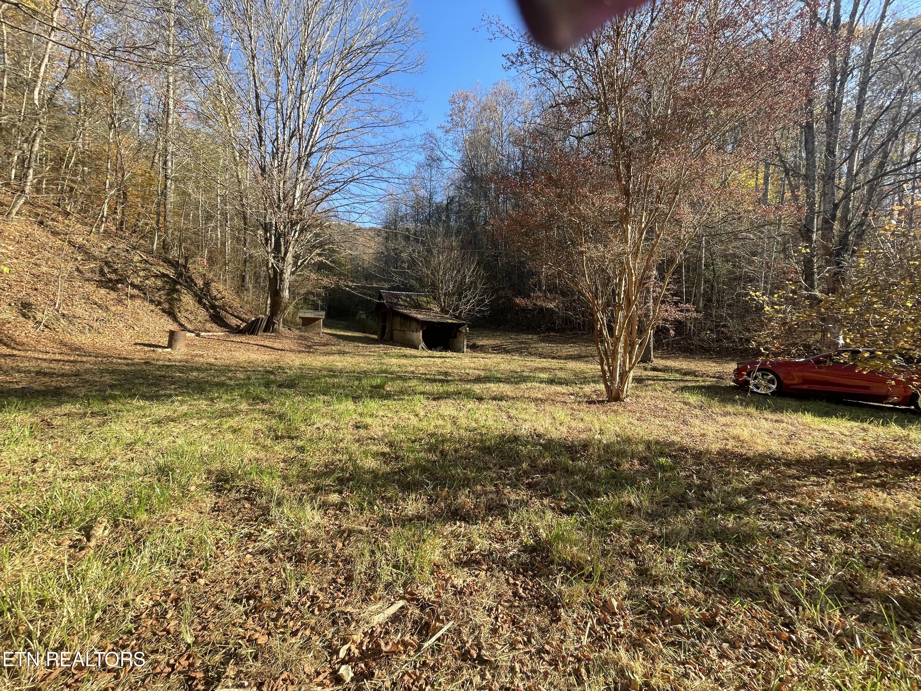 2327 Dripping Springs Road Seymour, TN 37865 - Photo 3 of 19 IMG_8668
