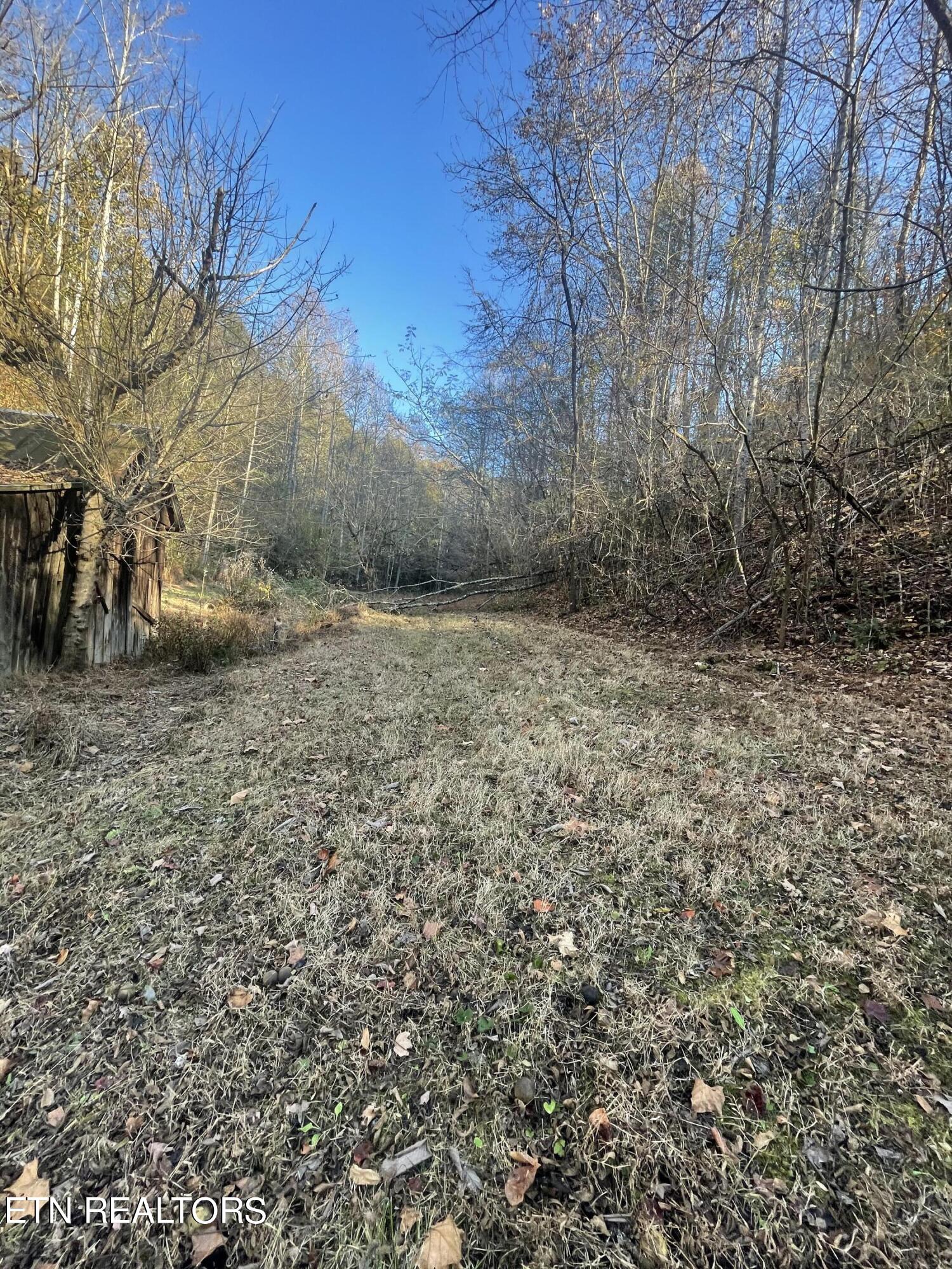 2327 Dripping Springs Road Seymour, TN 37865 - Photo 6 of 19 view