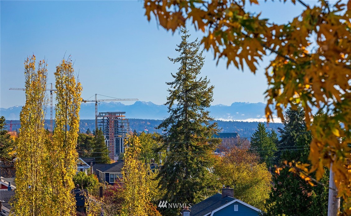 4233 Meridian Avenue North Seattle, WA 98103 - Photo 22 of 40 a view of a city and trees