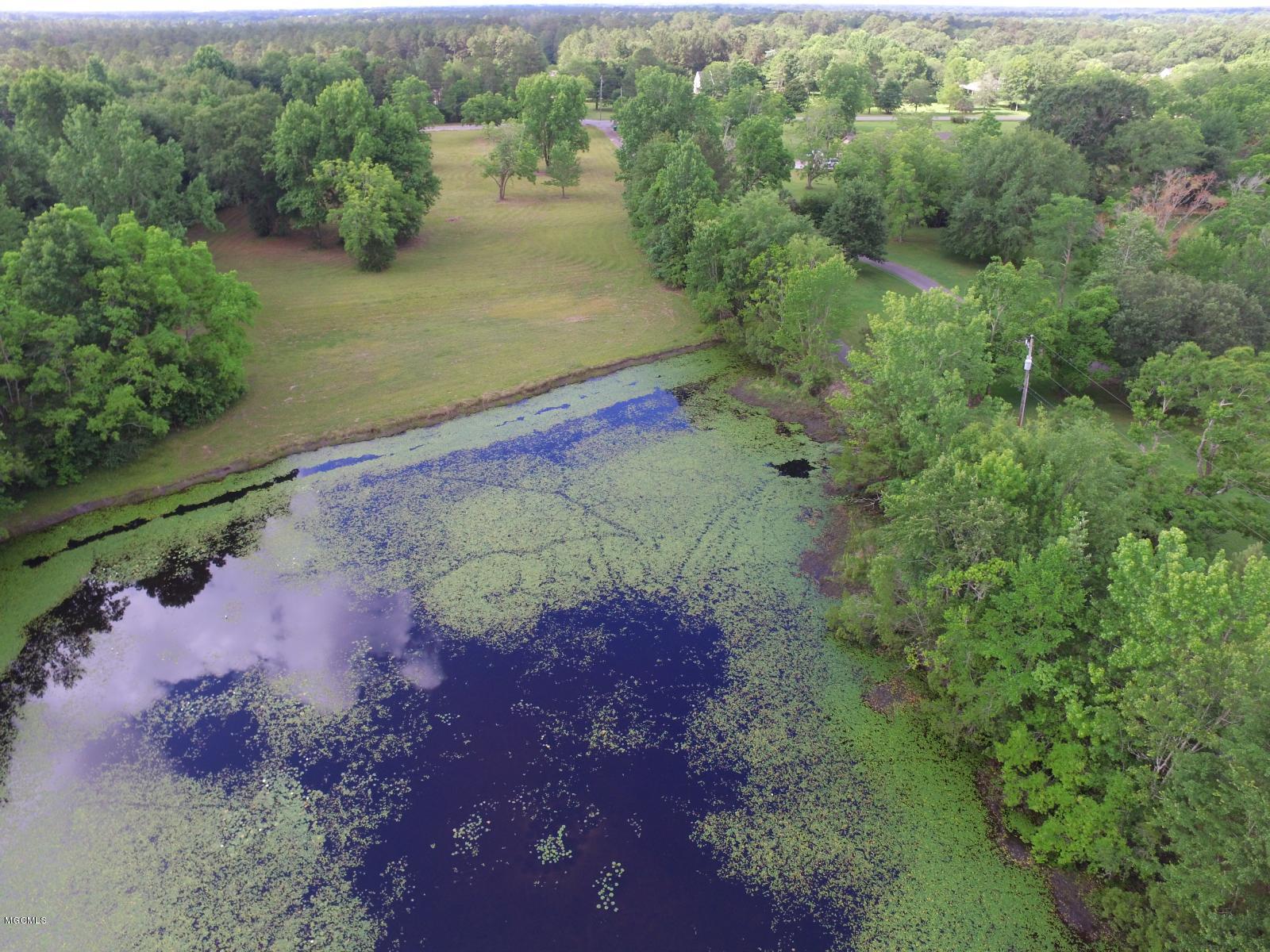 Above Pond