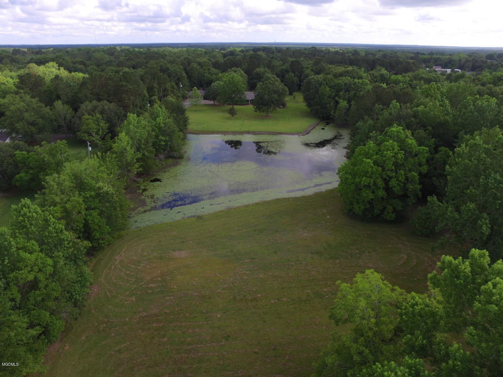 Pond at distance