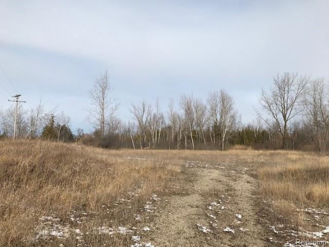 Kelly Rd Kelly Road Cass City, MI 48726 - Photo 2 of 22