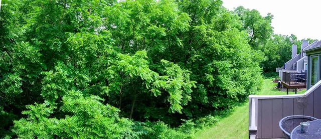 $199,000 | 19 Cedar Bluff Lane, Galena, IL 61036