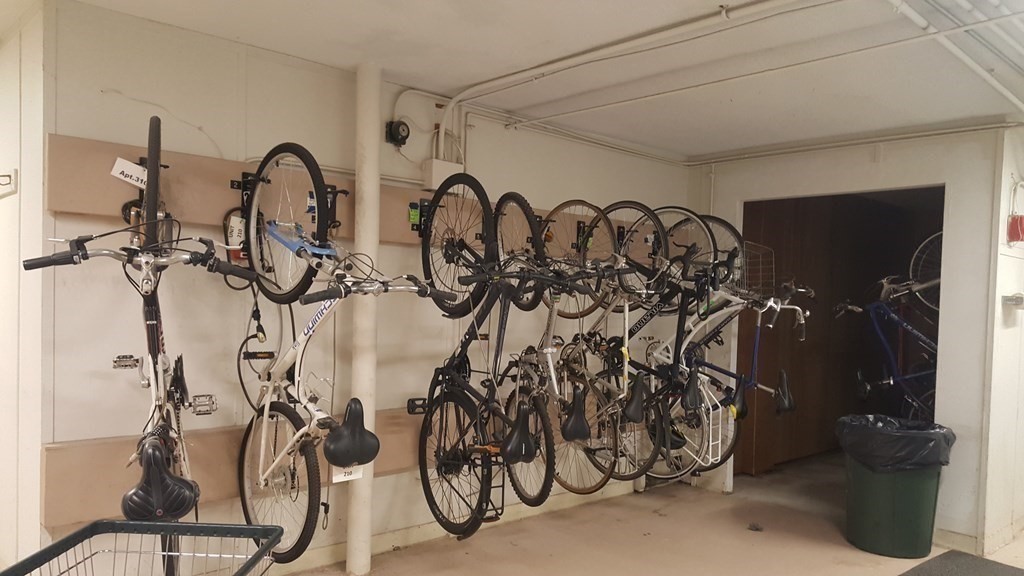 50 Green Street, Unit 107 Brookline, MA 02446 - Photo 12 of 17