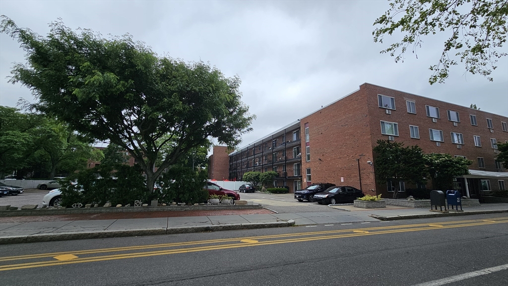 50 Green Street, Unit 107 Brookline, MA 02446 - Photo 15 of 17