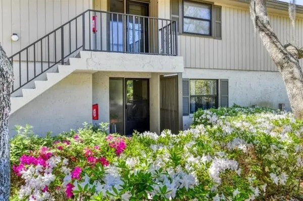 a flower plants in front of a house